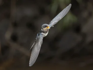 SEL100400_23