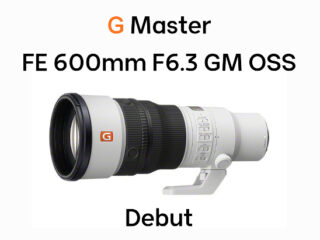 SEL600F63GM