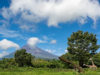 fuji_13