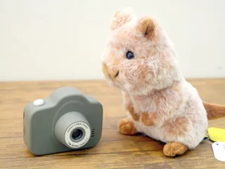sonyshop-0926_01