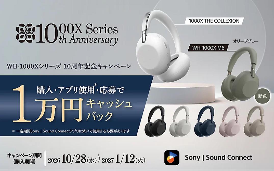 WH-1000X-CP (2)