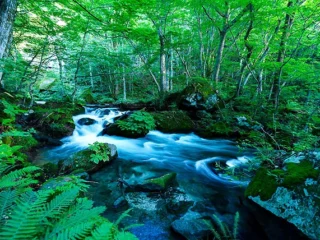 photoc_03